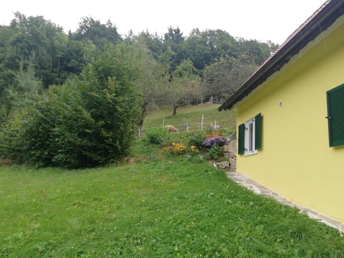 Ferienhaus Grabenhansl Stubenberg Exterior photo
